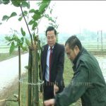 Đ/c Nguyễn Tất Thành – Kiểm tra phong trào ra quân trồng cây đầu Xuân